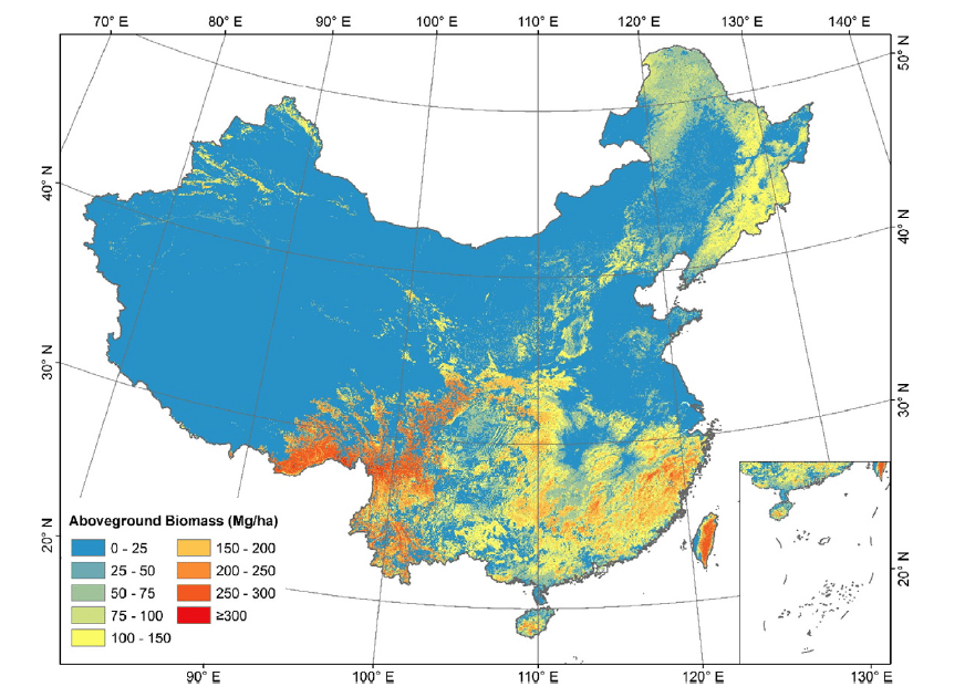 China forest AGB map