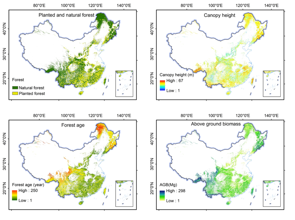 China Vegetation Products version 1.0 (CVP v1.0) - Be Happy！Be Productive！